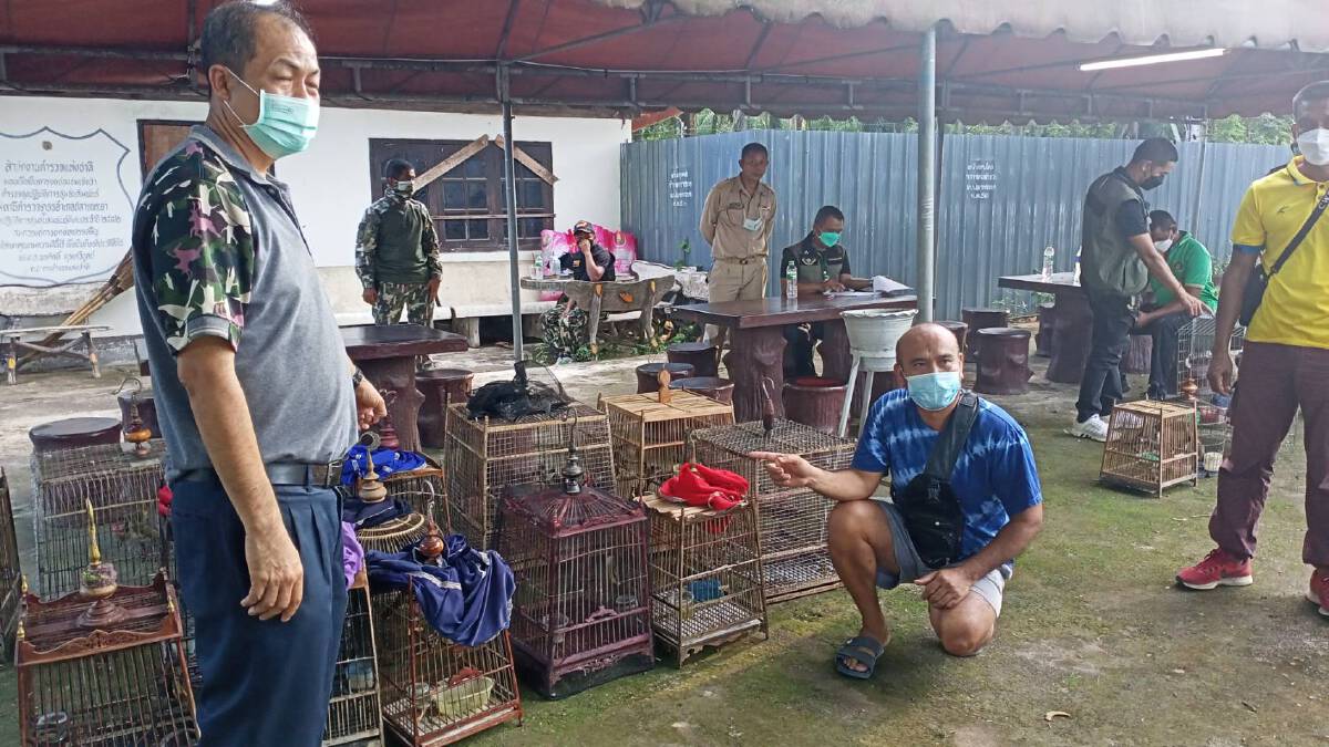 กวาดล้างขบวนการค้าสัตว์ป่าคุ้มครอง ยึดนก 103 ตัว