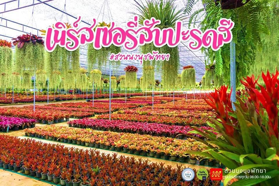 สวนนงนุชพัทยาเปิดให้บริการแล้ว พร้อมโปรโมชั่นพิเศษสำหรับผู้ฉีดวัคซีนครบ 2 เข็ม เข้าชมสวนฟรี