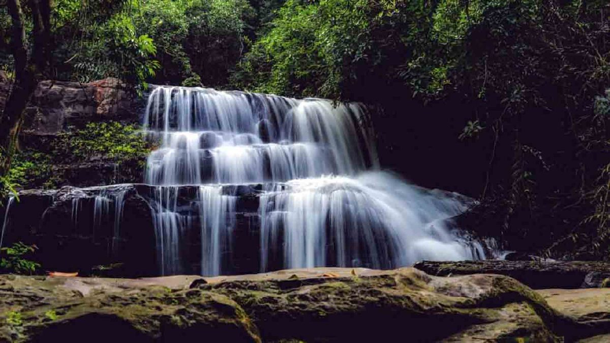 เปิดภาพมุมสูงความอุดมสมบูรณ์ของผืนป่าอุทยานแห่งชาติปางสีดา