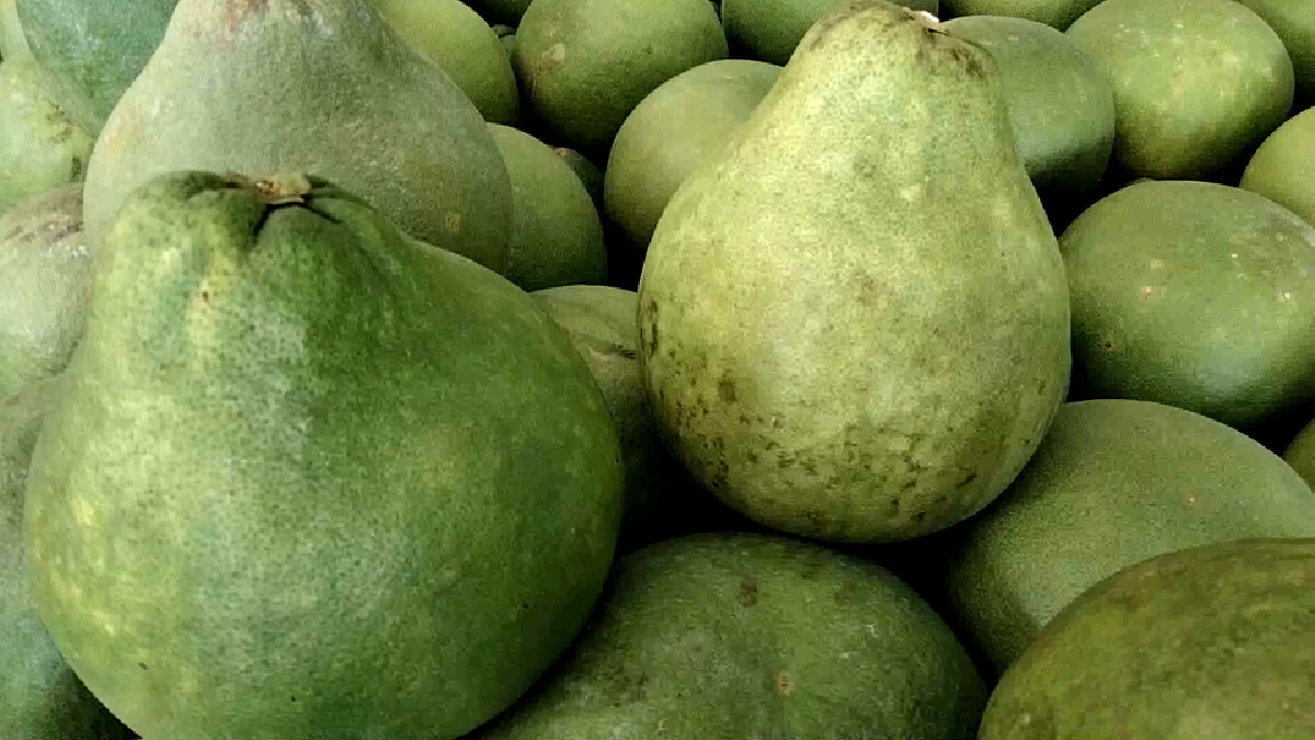 พิษโควิด!ทำส้มโอทับทิมสยามเมืองคอนเดือดร้อนส่งออก ตปท.ไม่ได้