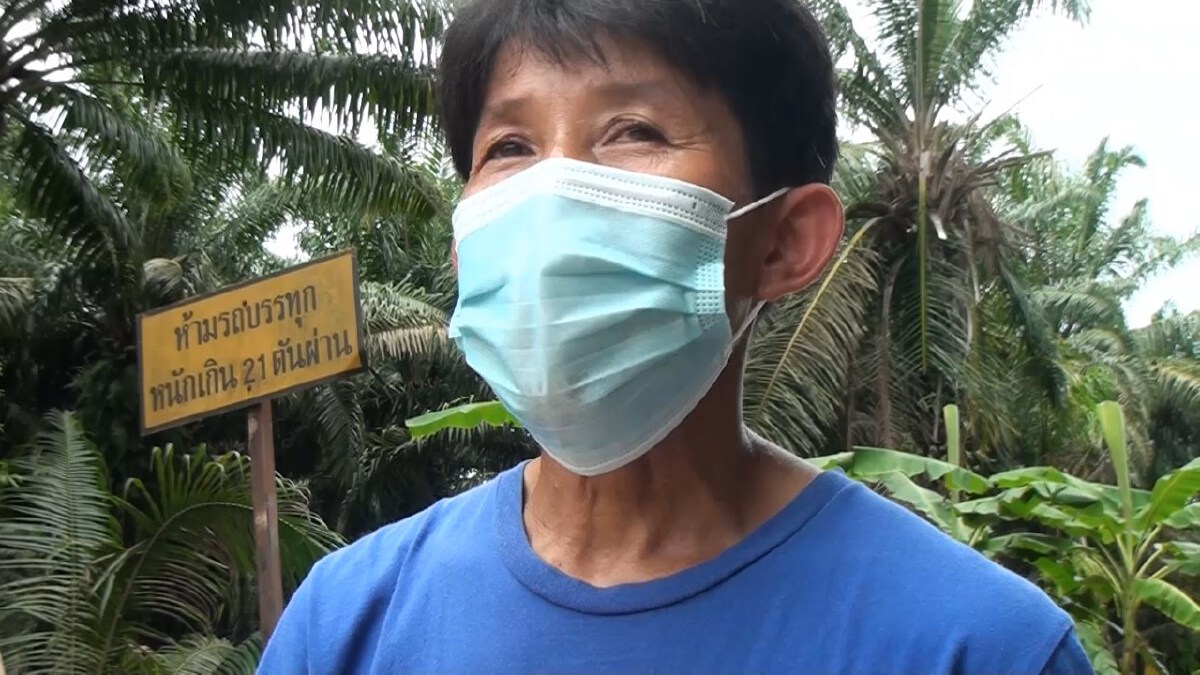 สาวใหญ่หนีตาย เสาไฟฟ้าแรงสูงหักโค่นทับรถไฟลุกวอดทั้งคัน