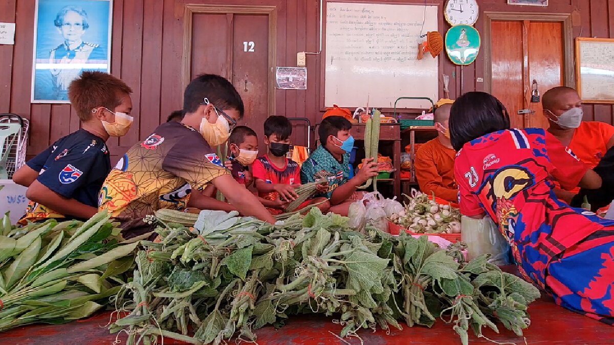 เด็ก ป.4 เหยียบบ่าปีนต้นไม้สูง 3 เมตรเก็บลูกน้ำเต้าแจกชาวบ้าน