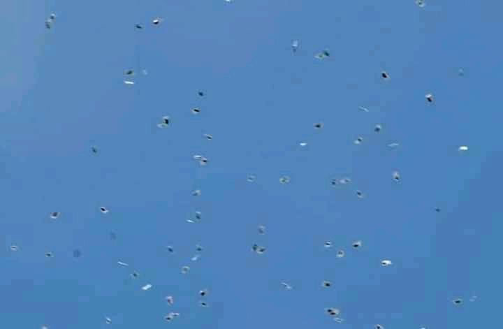 โดรนปริศนาโปรย "กัญชา" แจกฟรีกลางเมืองอิสราเอล