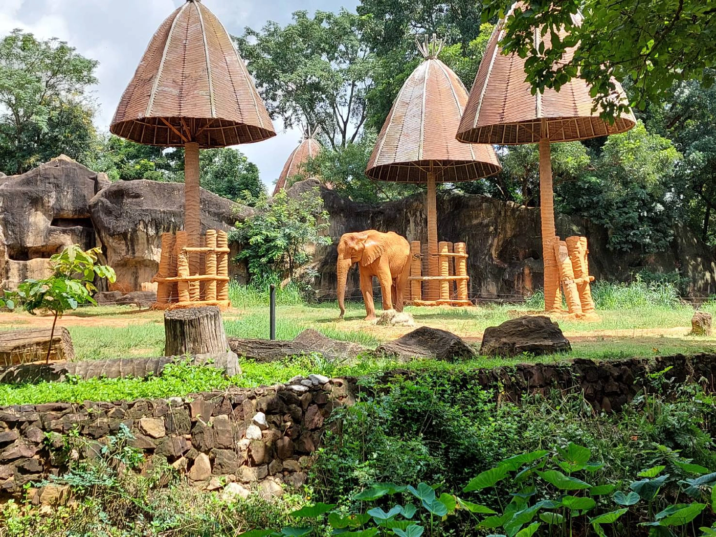 สวนสัตว์โคราช ชวนปชช. ร่วมอุปถัมภ์สัตว์ป่า  สมทบทุนค่าอาหาร