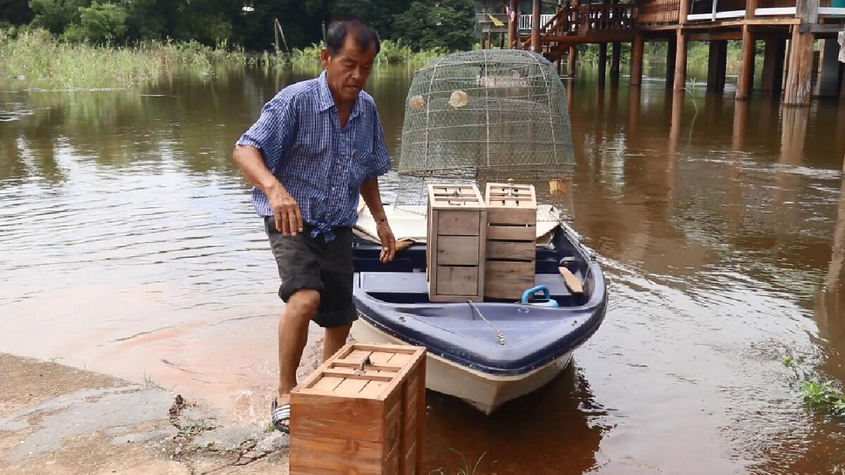 "แม่น้ำยม"รับน้ำจากสุโขทัยล้นตลิ่ง-เร่งขนย้ายสัตว์เลี้ยง