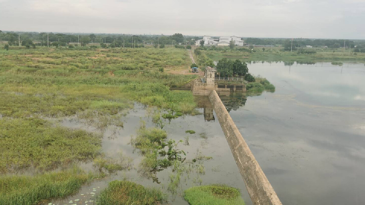 กรมชลฯ บินสำรวจ สถานการณ์น้ำเหนือบึงบอระเพ็ด