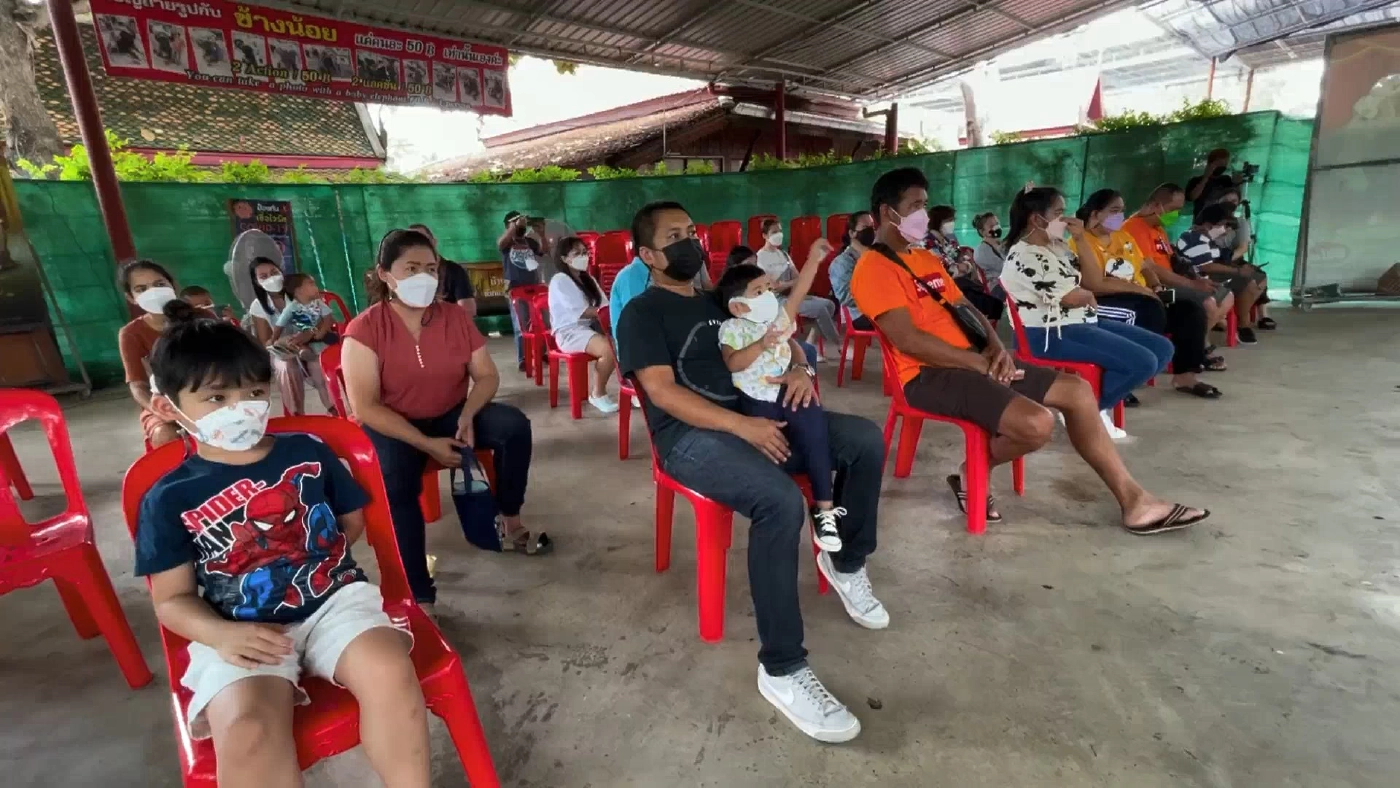 เปิดแล้ววังช้างอยุธยา โชว์การแสดงของน้องช้างแสนรู้หลังหยุดไปกว่า 3 เดือน