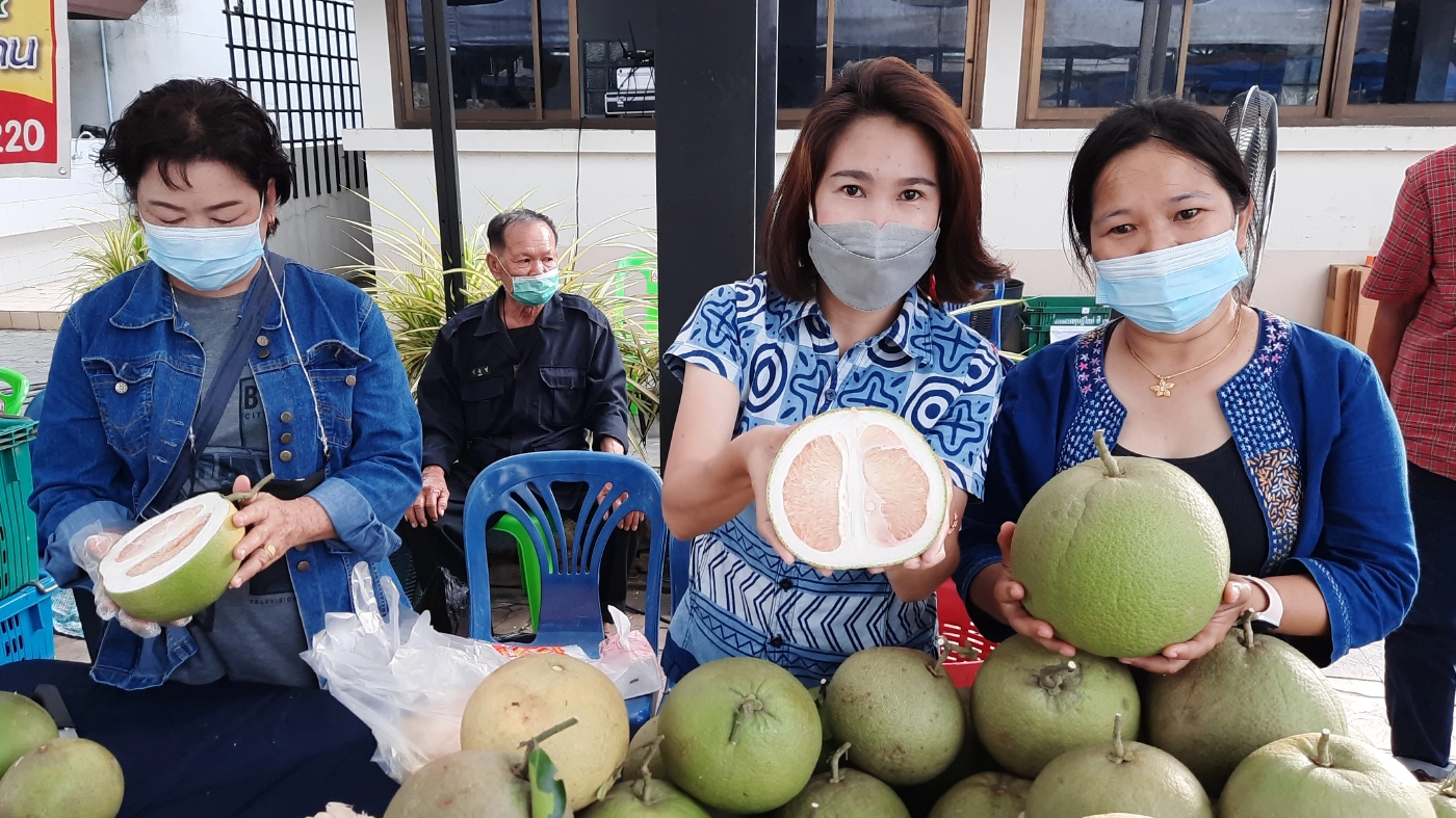 ดัน"ส้มโอขาวน้ำผึ้งอำเภอลอง"เป็นผลไม้บ่งชี้ทางภูมิศาสตร์