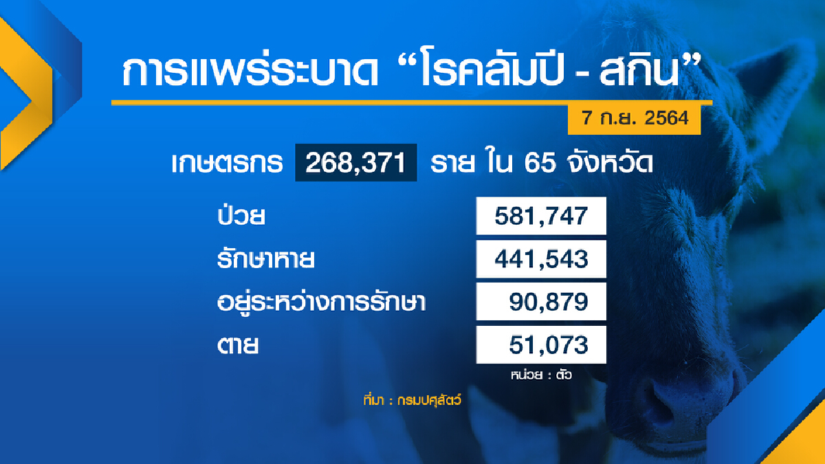 เกษตรฯจ่าย 1 พันล้าน เยียวยา ลัมปี-สกิน