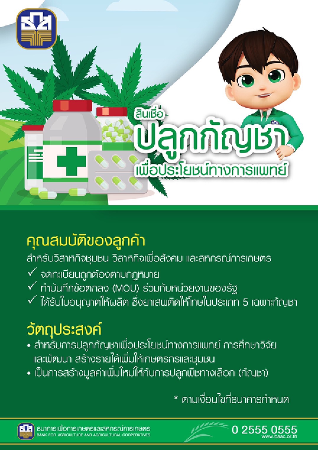 ธ.ก.ส. ปล่อยสินเชื่อหนุนปลูกกัญชา ดอกเบี้ย 0.01% ต่อปี
