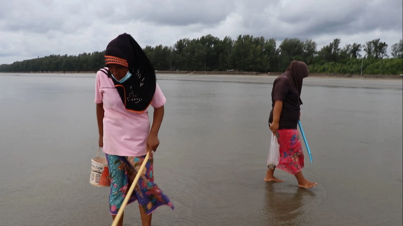 ชาวบ้านแห่เก็บหอยตะเภาขายหารายได้เสริม