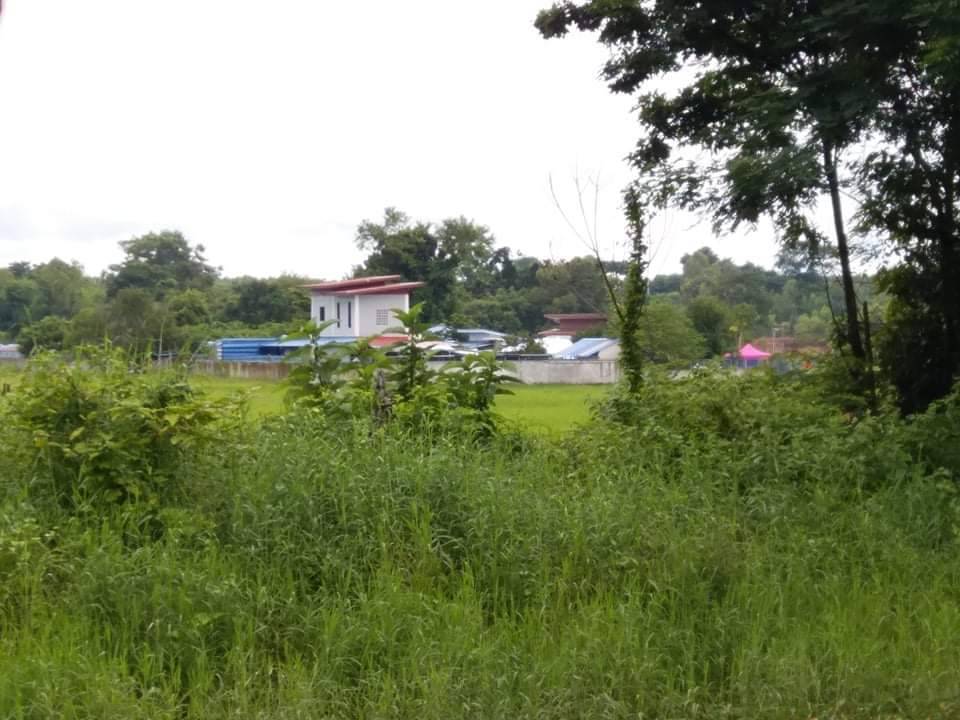 ชาวบ้านร้องย้ายสถานสงเคราะห์สุนัขชาวต่างชาติส่งกลิ่นเหม็นเสียงดัง