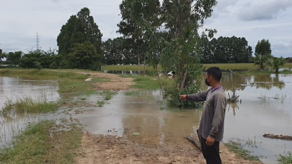 น้ำท่วมลูกไอ้เข้โผล่ !  ชาวบ้านโนนสูงแตกตื่นกันทั้งหมู่บ้าน