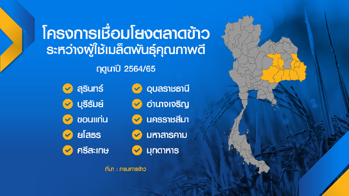 โรงสี ‘เพิ่ม‘ ค่าข้าว หนุนชาวนาใช้เมล็ดพันธุ์เกรดเอ