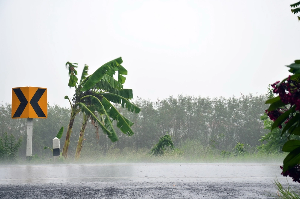 กรมอุตุฯ ย้ำ อิทธิพล “พายุเตี้ยนหมู่” ฝนหนัก จ่อถล่ม 45 จังหวัดทั่วไทย