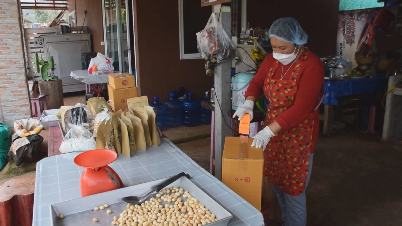 แปรรูป แมคคาเดเมีย ทำเงิน 3 หมื่น/เดือน