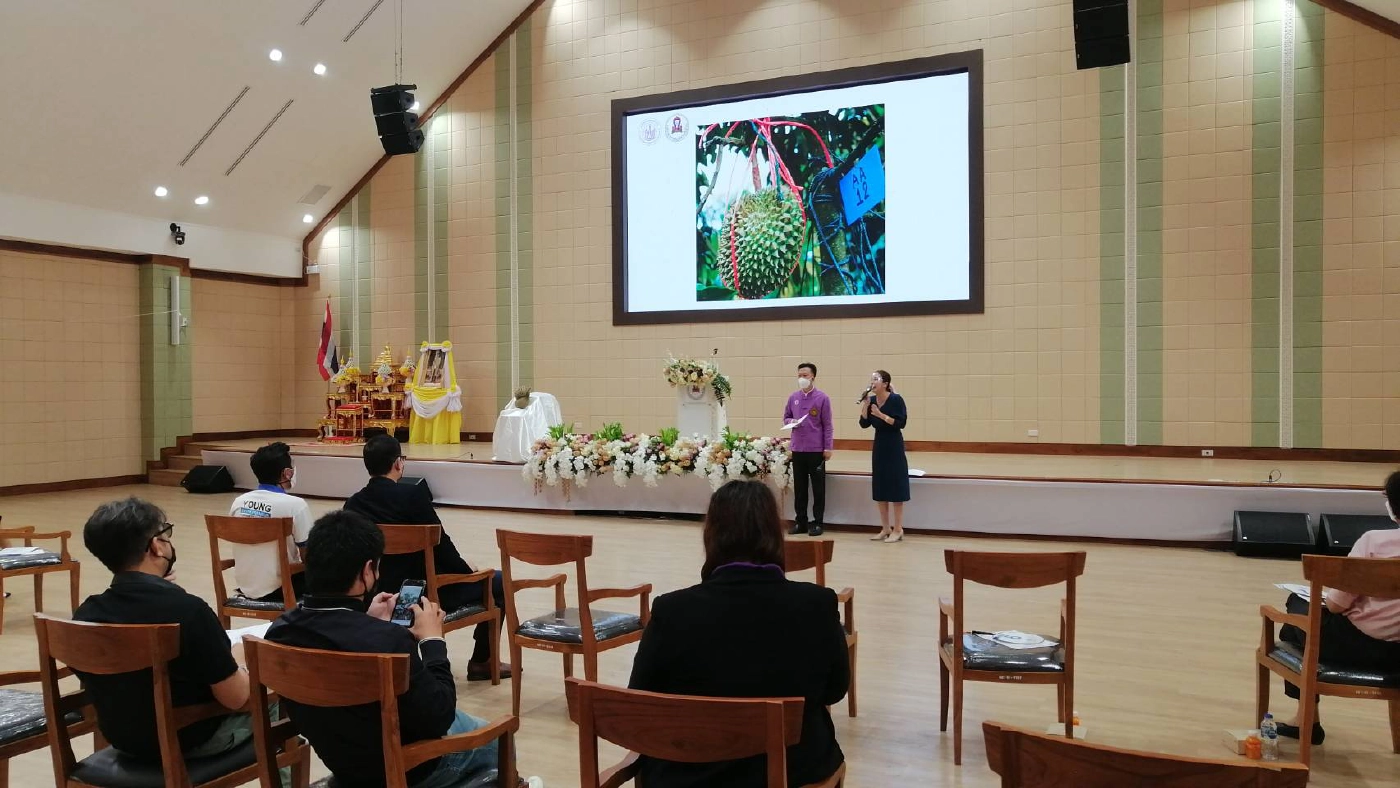 ประมูลทุเรียนหมอนทองน้ำแร่แม่ออนลูกละ 2 หมื่น ช่วยไกด์