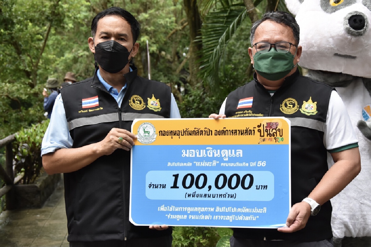 ฉลองวันเกิด 56 ปี ฮิปโปแม่มะลิ ขวัญใจคนไทย