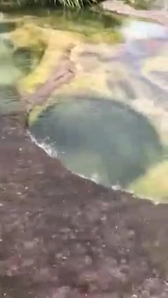 โซเชียลชื่นชม สาวอุบลฯผายปอดช่วย ด.ญ. 6 ขวบจมน้ำตก