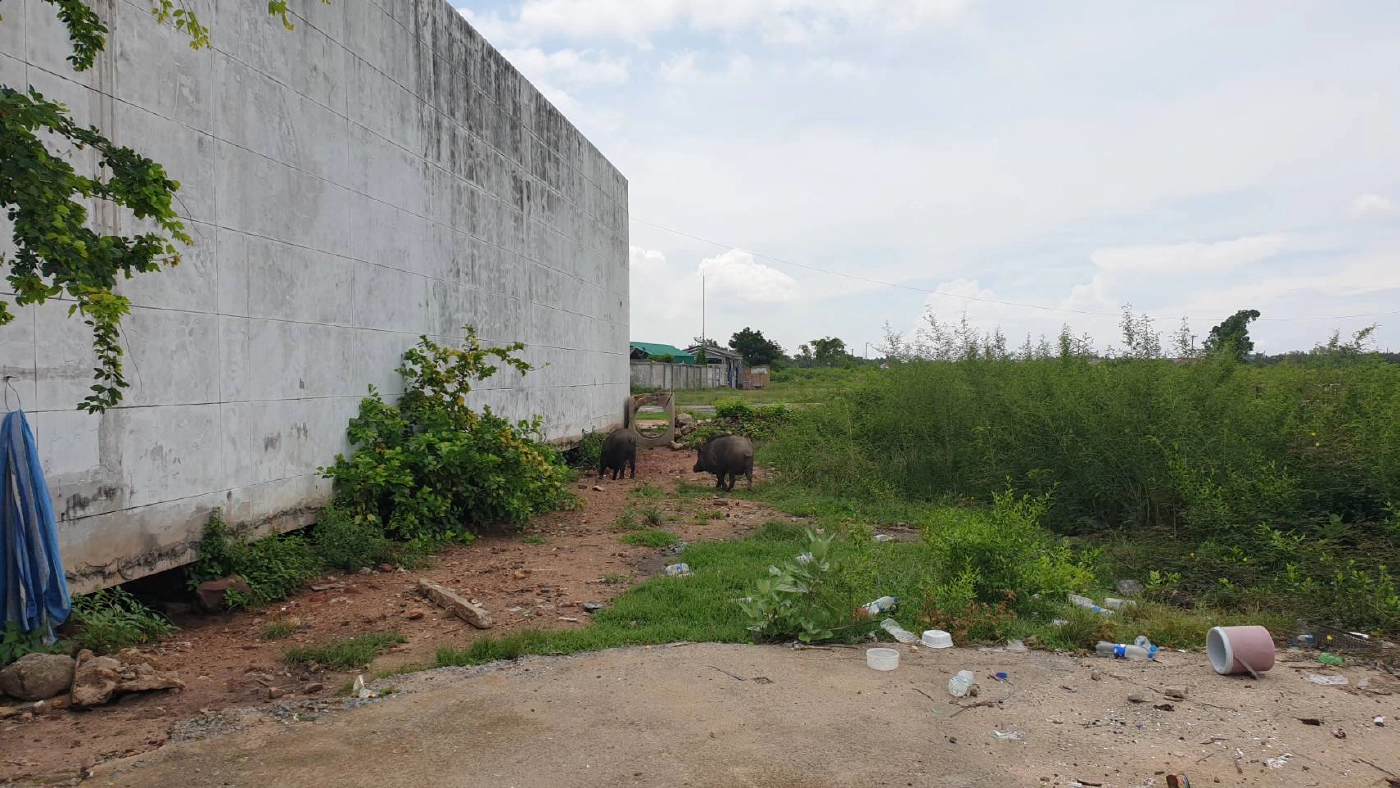 เร่งช่วย“หมูป่า” เคราะห์ซ้ำเจอสาวถูกขืนใจบ้านร้าง