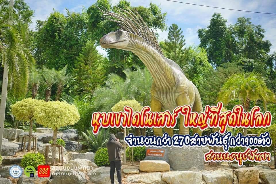 สวนนงนุชพัทยาเปิดให้บริการแล้ว พร้อมโปรโมชั่นพิเศษสำหรับผู้ฉีดวัคซีนครบ 2 เข็ม เข้าชมสวนฟรี
