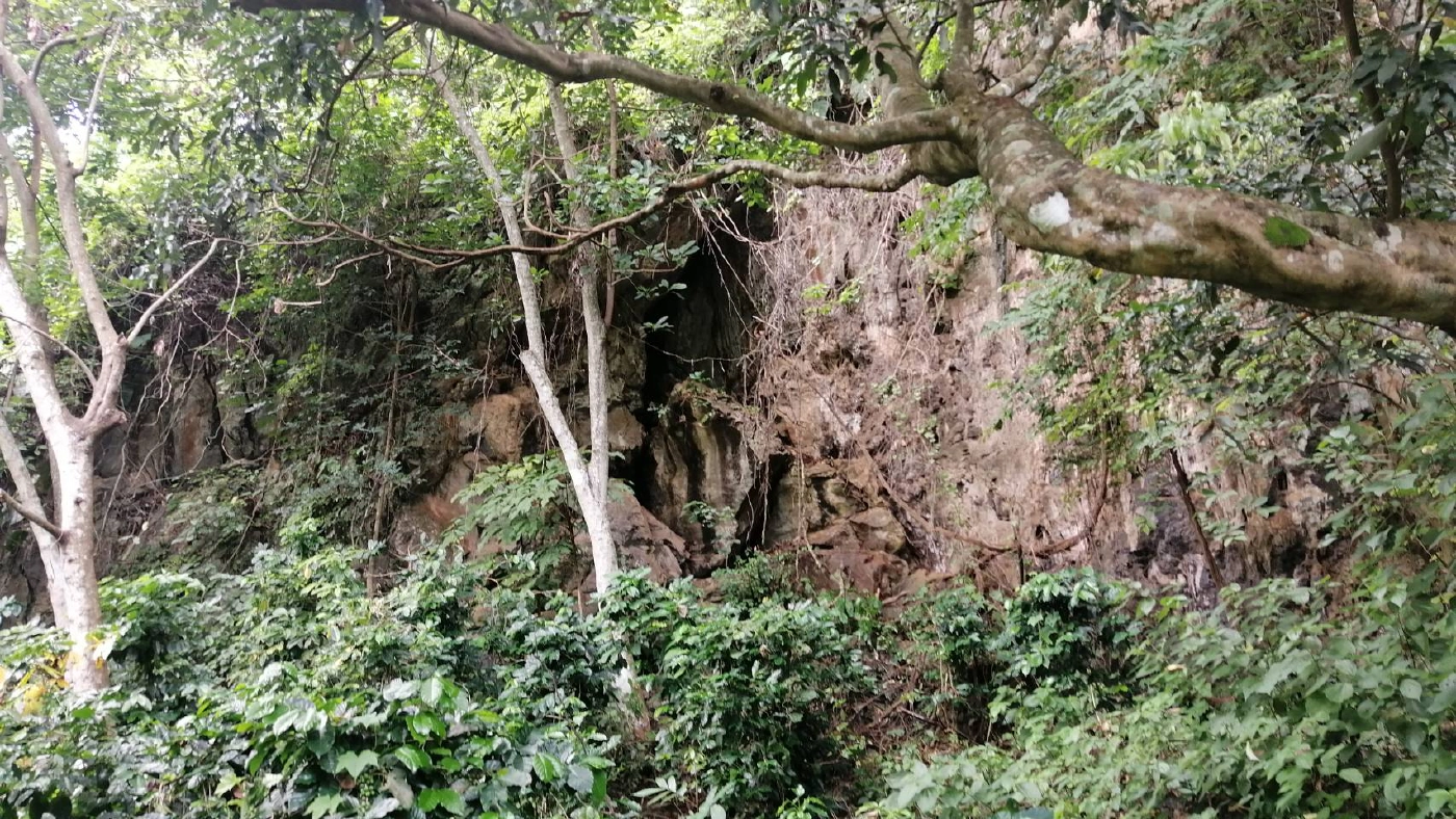 สนธิกำลังเอ็กซเรย์​หมู่บ้านทุกตารางนิ้วหาตัวน้องจีน่า