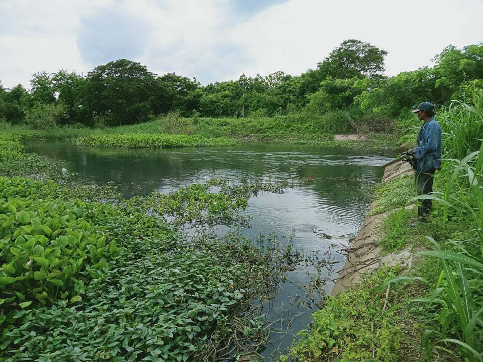ลำน้ำแม่ลายังไม่พ้นวิกฤติน้ำเสีย ท้องถิ่นจังหวัดเร่งหาสาเหตุ