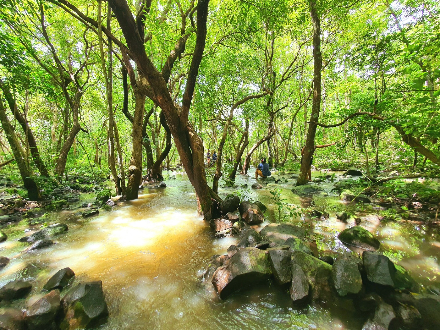 เที่ยว พนมยายจรู๊ก น้ำตกที่มีแค่ช่วงหน้าฝนเท่านั้น