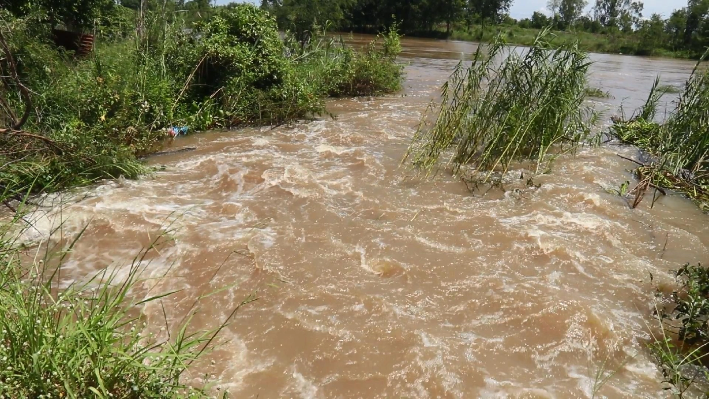 น้ำท่วมนากว่าสัปดาห์-ข้าวเริ่มเน่าเสีย