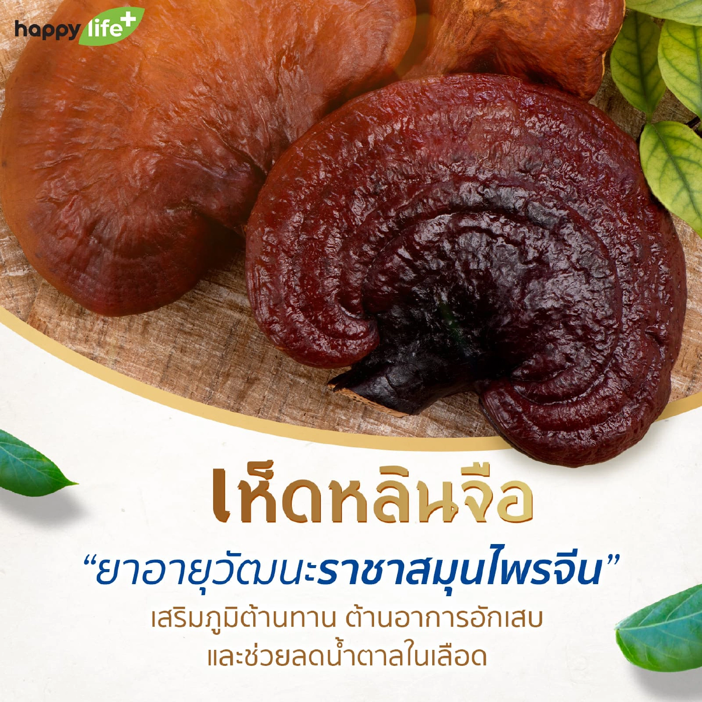 7 สมุนไพรไทย ที่ช่วยลดน้ำตาลในเลือด