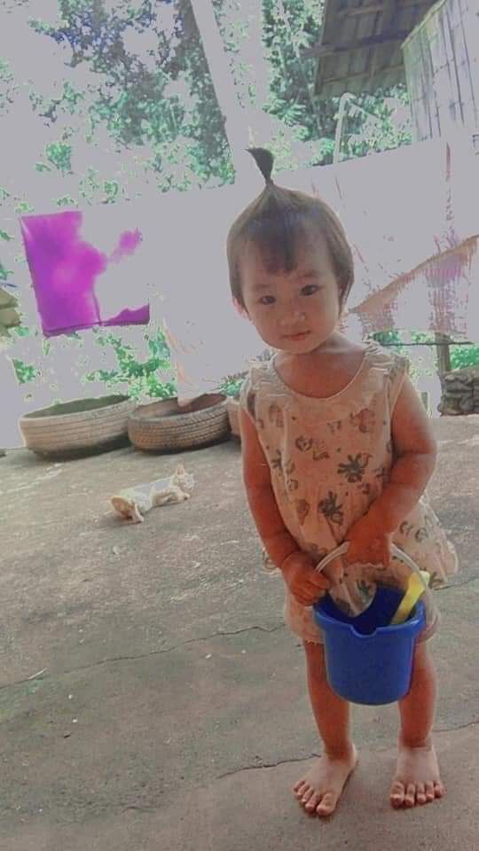 ตำรวจปรับแผนนำฮ.บินวน-ถางไร่ข้าวโพดตามหาน้องจีน่า