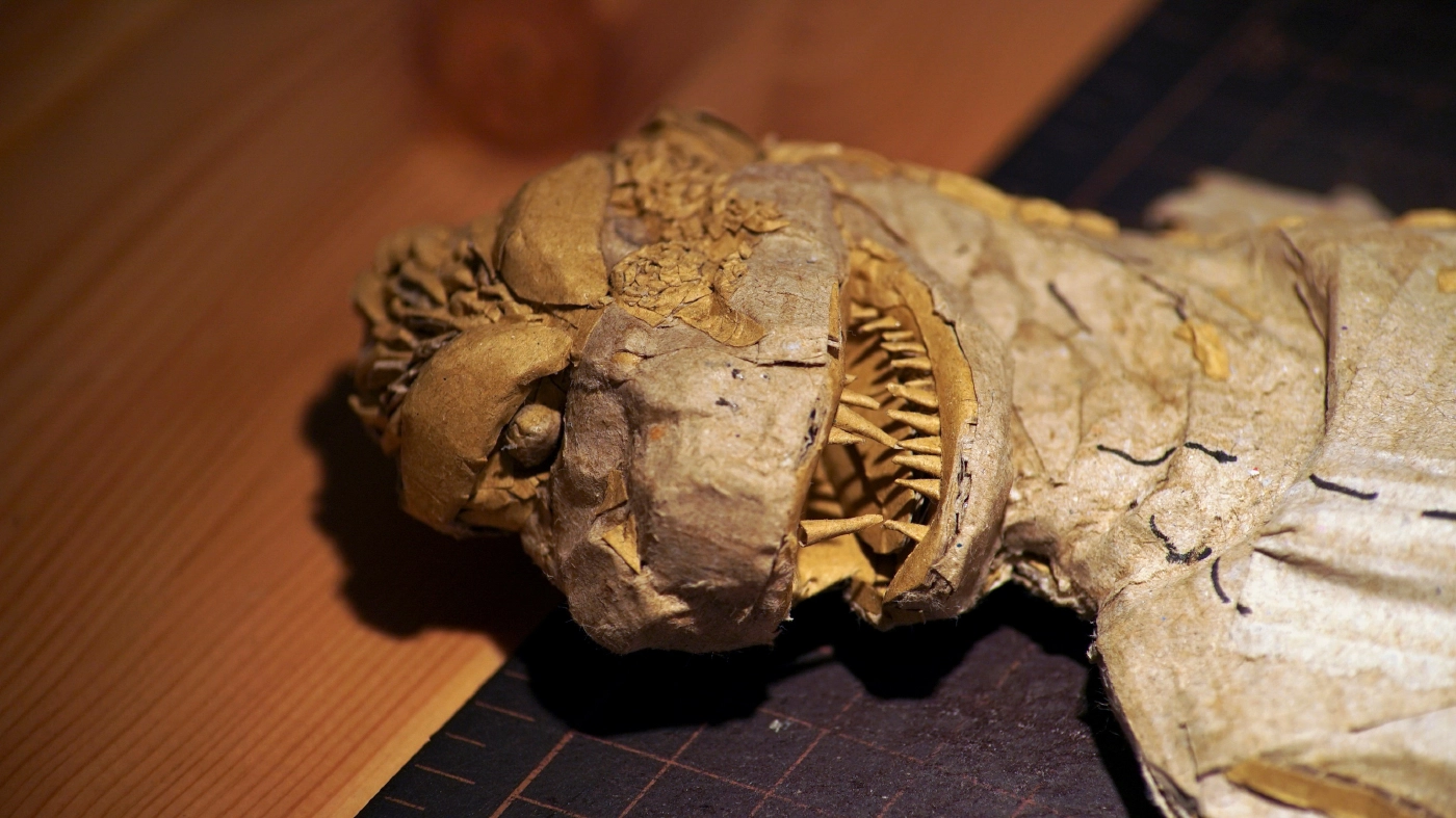 สาวญี่ปุ่นสร้างงานศิลปะจากกล่องกระดาษ