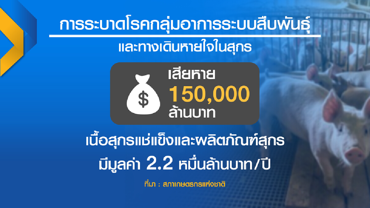 สภาเกษตรฯหวั่นสูญ 1.5 แสนล้าน จี้รัฐสกัด หมู ป่วย