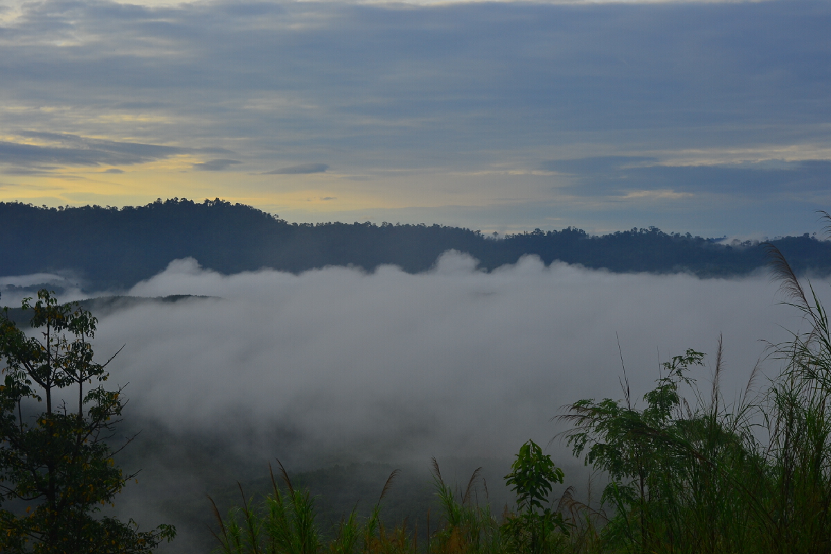 ชมทะเลหมอกยามเช้าที่บ้านน้ำจวง-เตรียมเปิดให้เที่ยว 1 ต.ค.