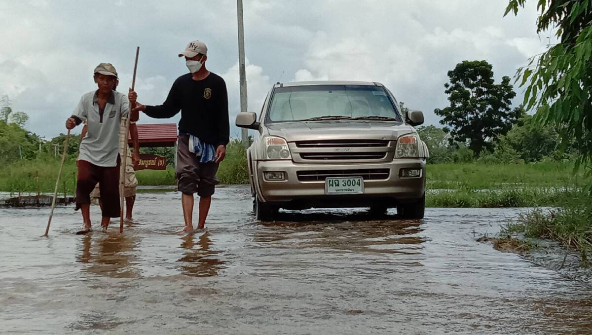 น้ำมูลล้นตลิ่ง ท่วมถนนทางเข้าวัด นาแปลงใหญ่ทุ่งสัมฤทธิ์ เสียหาย