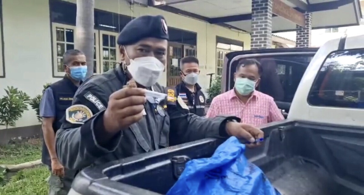 บุกรวบพ่อค้าอ้างตัวเป็นเจ้าหน้าที่แอบจับลิง ส่งขายต่างประเทศ