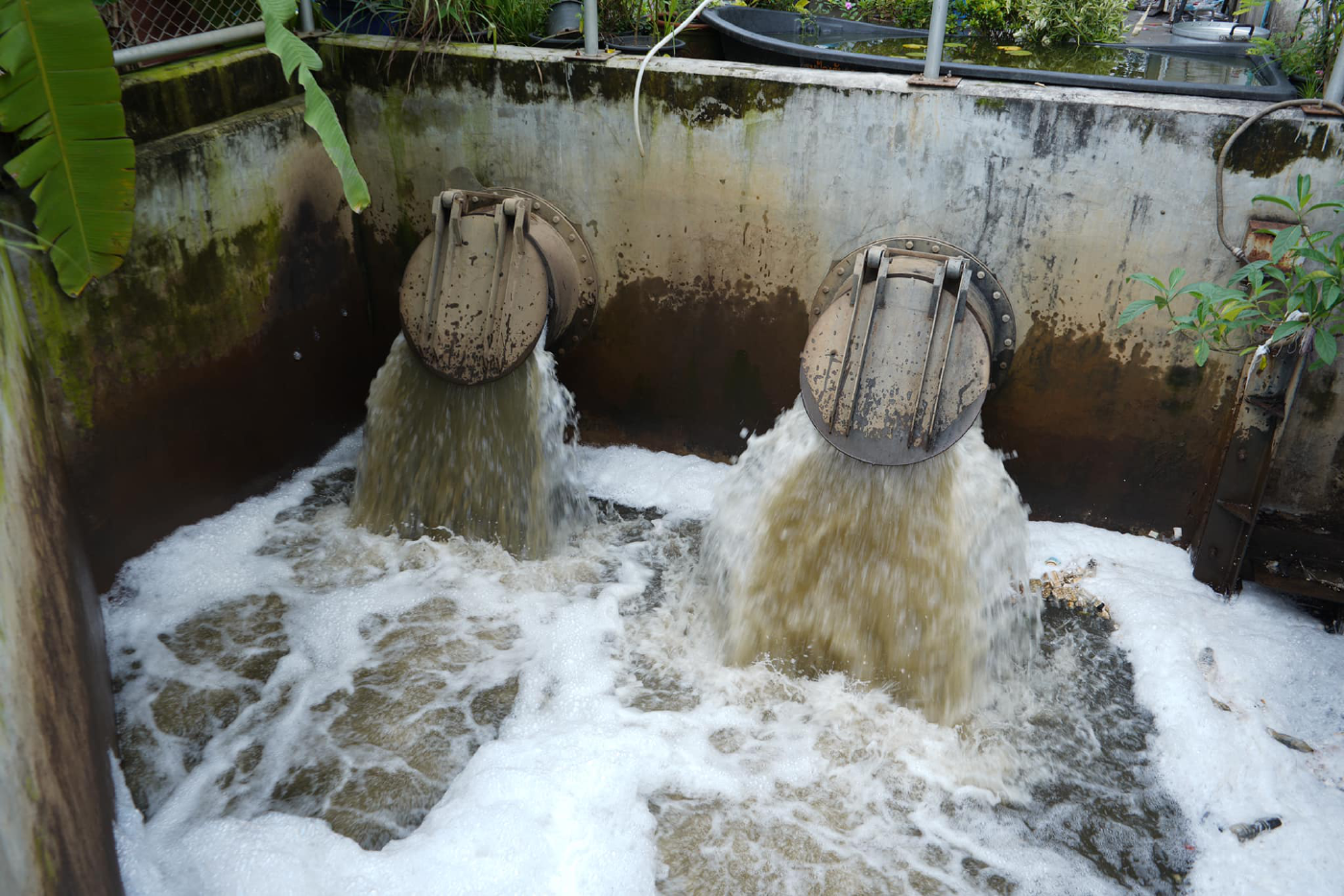 ทน.รังสิต เตรียมพร้อมป้องกันน้ำท่วมชุมชนบ้านเรือนริมคลอง