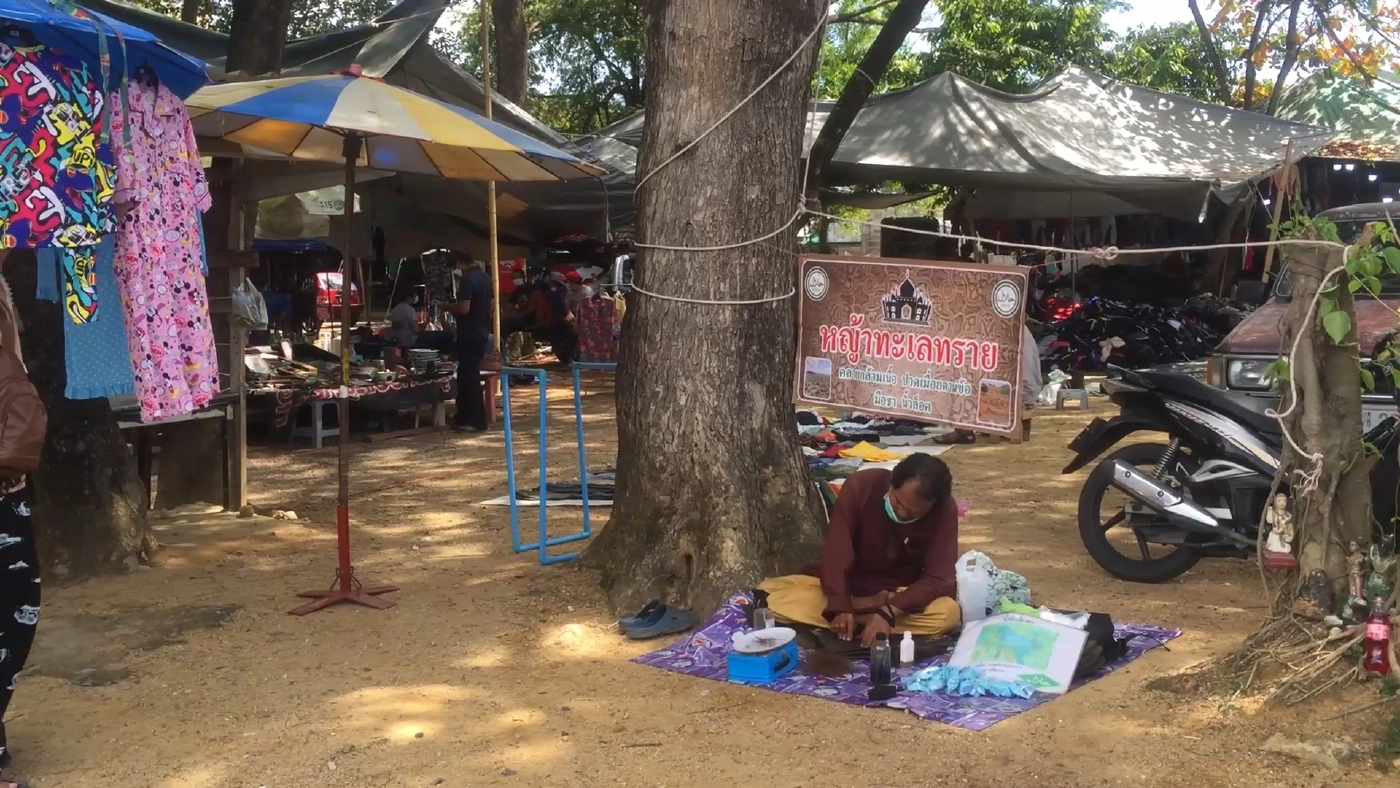 ทึ่ง!! หญ้าทะเลตายแล้วฟื้นสรรพคุณทางยาล้นเหลือ