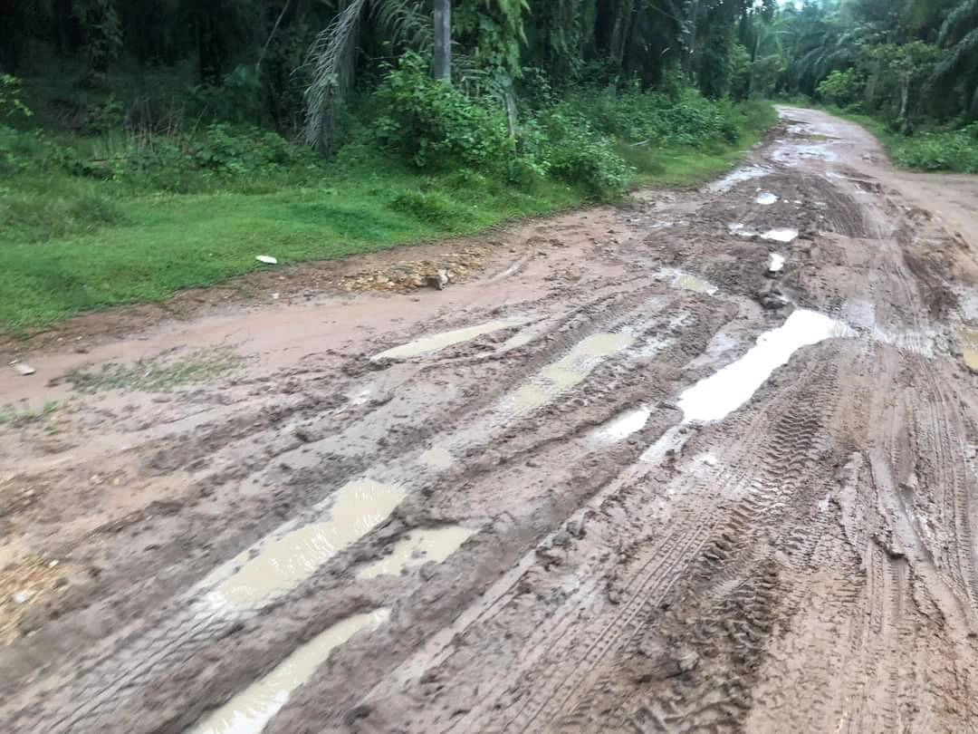 ชาวบ้านควนลอกอ จ.กระบี่ เดือดร้อนหนักถนนสัญจรไม่ได้ไร้ผู้ดูแล