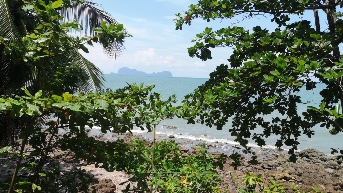 ตรวจสอบรีสอร์ทถูกทุบพังยับบนเกาะสุกร เสียหายกว่า 2 ล้าน