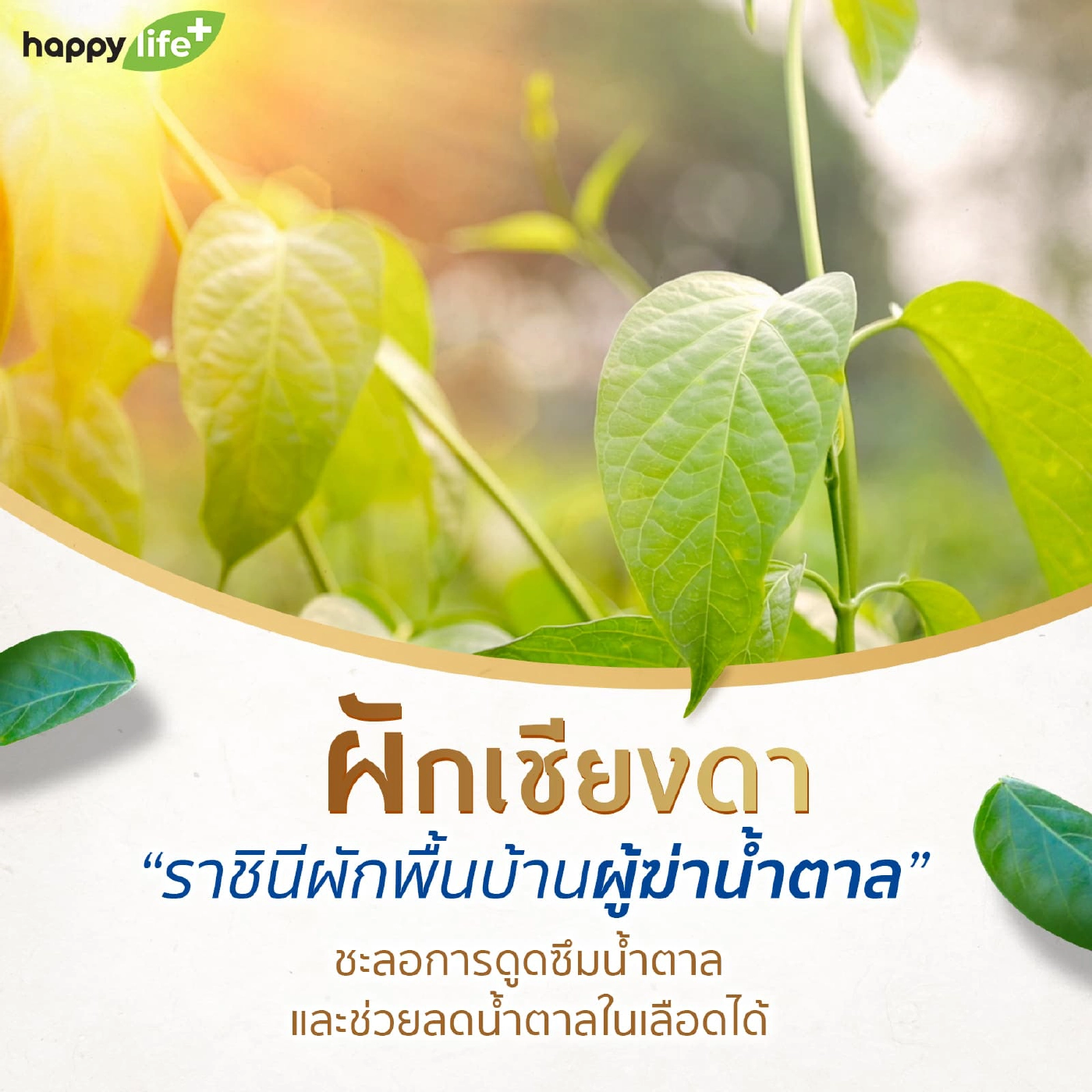 7 สมุนไพรไทย ที่ช่วยลดน้ำตาลในเลือด