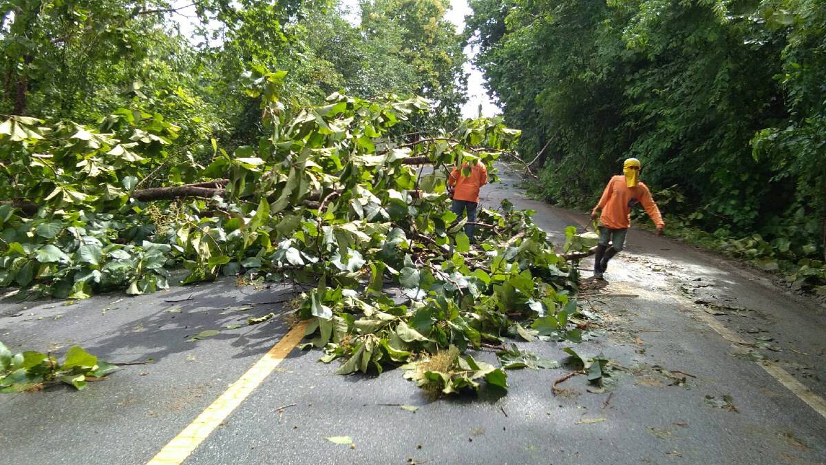 พายุฝนกระหน่ำ-ต้นไม้หักโค่นขวางถนนหลายสาย