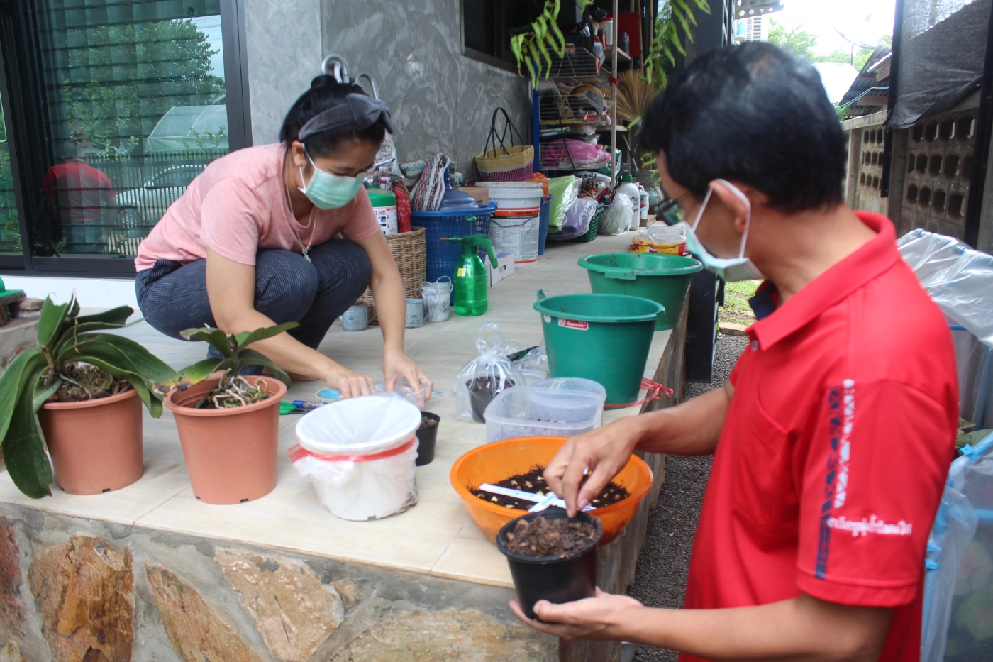 คุณครูคนขยันใช้เวลาว่างหลังสอนออนไลน์ปลูกบอนสีขาย