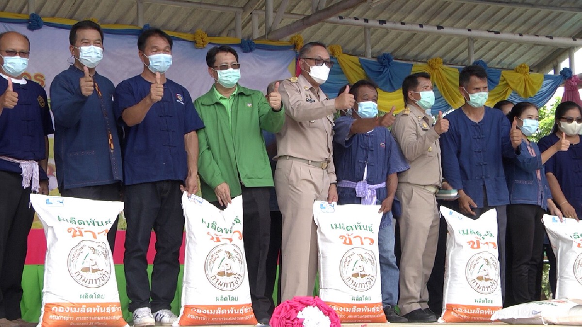 รมช.เกษตรฯคิกออฟยกระดับนาแปลงใหญ่ด้วยเกษตรสมัยใหม่