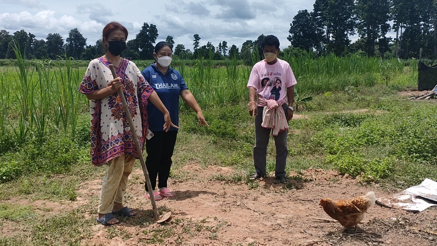 ขอให้เวรกรรมลงโทษคนใจร้าย วางยาเบื่อหมาและไก่ตายกว่า 50 ตัว