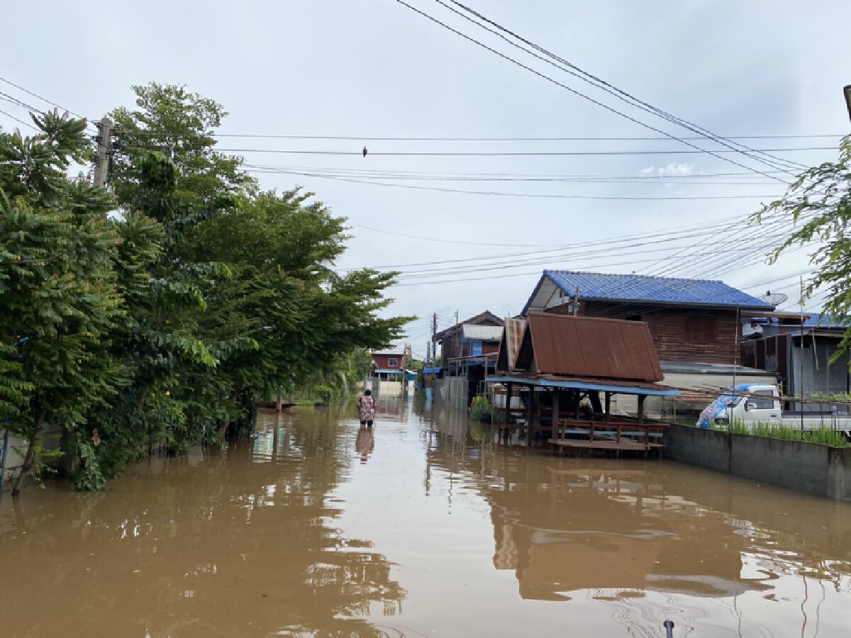 4อำเภออ่วม! น้ำชีทะลักท่วมบ้านเรือน-พื้นที่การเกษตร