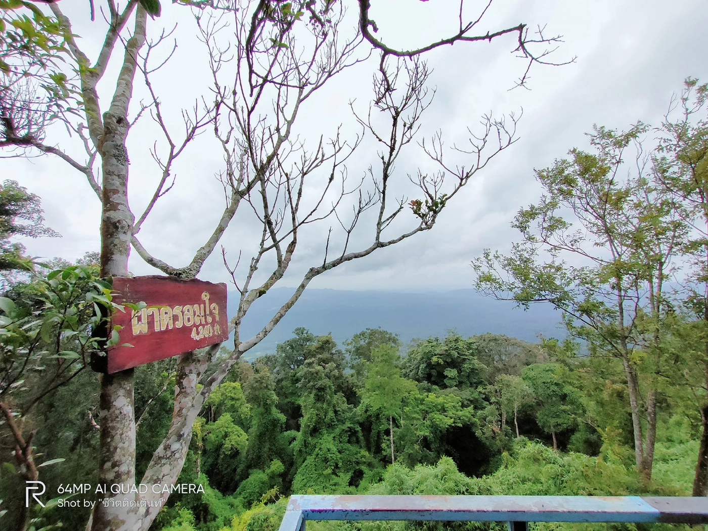 ลือสนั่นเตรียมปิดร้านข้าวไข่เจียวยอดฮิตบนผาตรอมใจ
