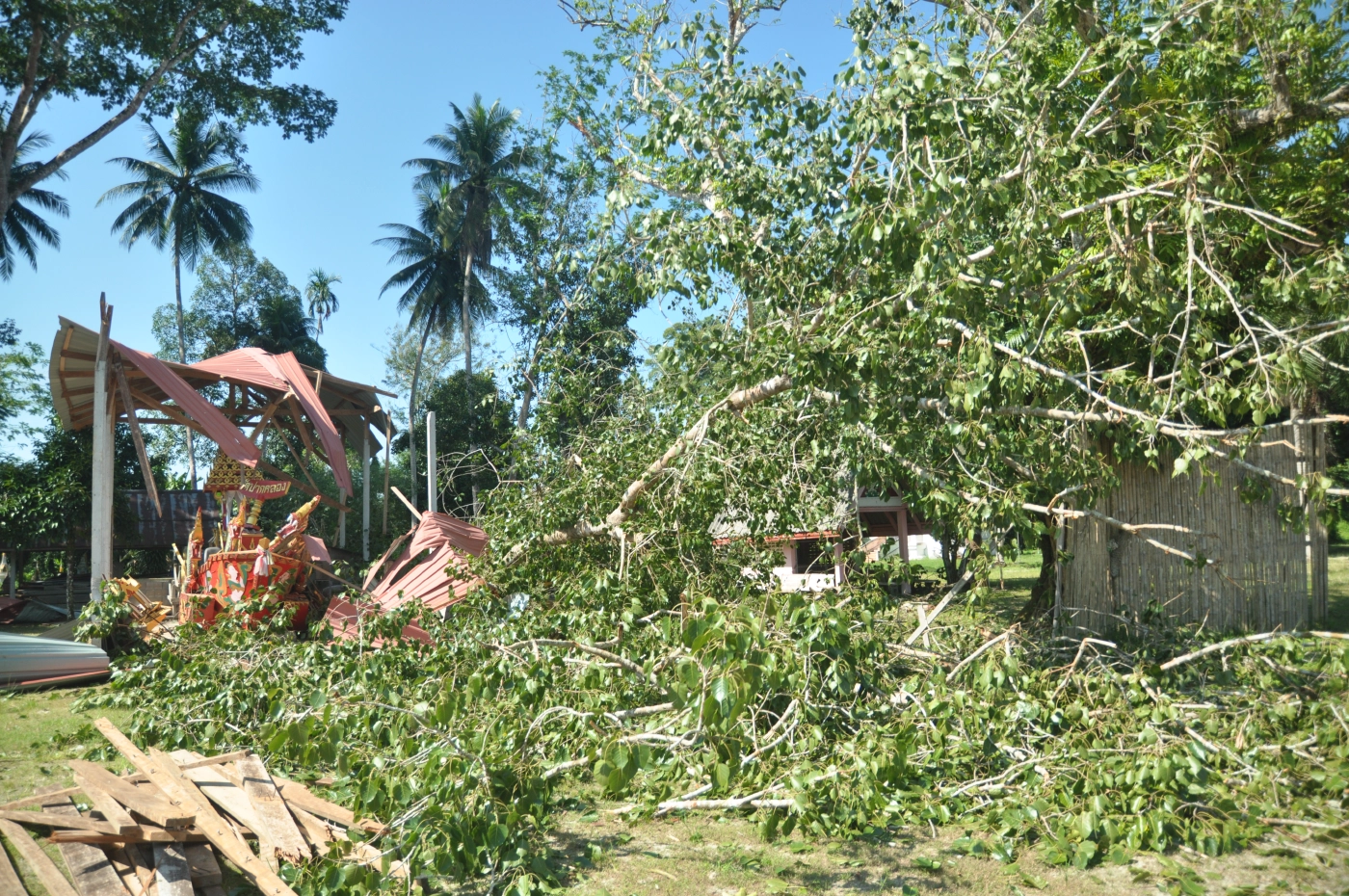 ระทึก! ฝนตกลมแรงพัดต้นโพธิ์ 100 ปี ทับองค์พระเศียรขาด