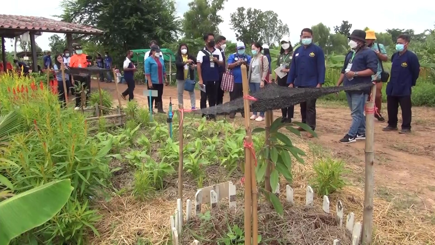 เยี่ยมชมต้นแบบของโคกหนองนา พึ่งพาตนเอง