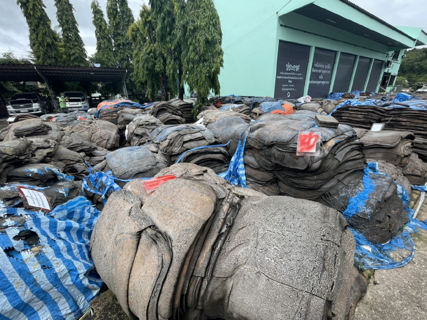 ยางพาราเถื่อนที่คดีไม่ถึงที่สุดอีกแสนกว่ากิโลกรัม